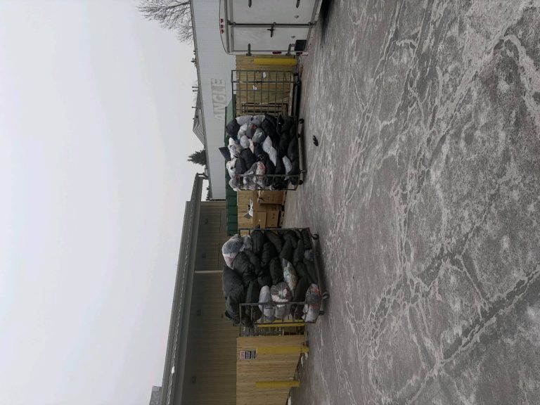 Photo 4 from Community Service in Honor of Dr. Martin Luther King, Lynwood IL – Eta Omega Alumni Chapter